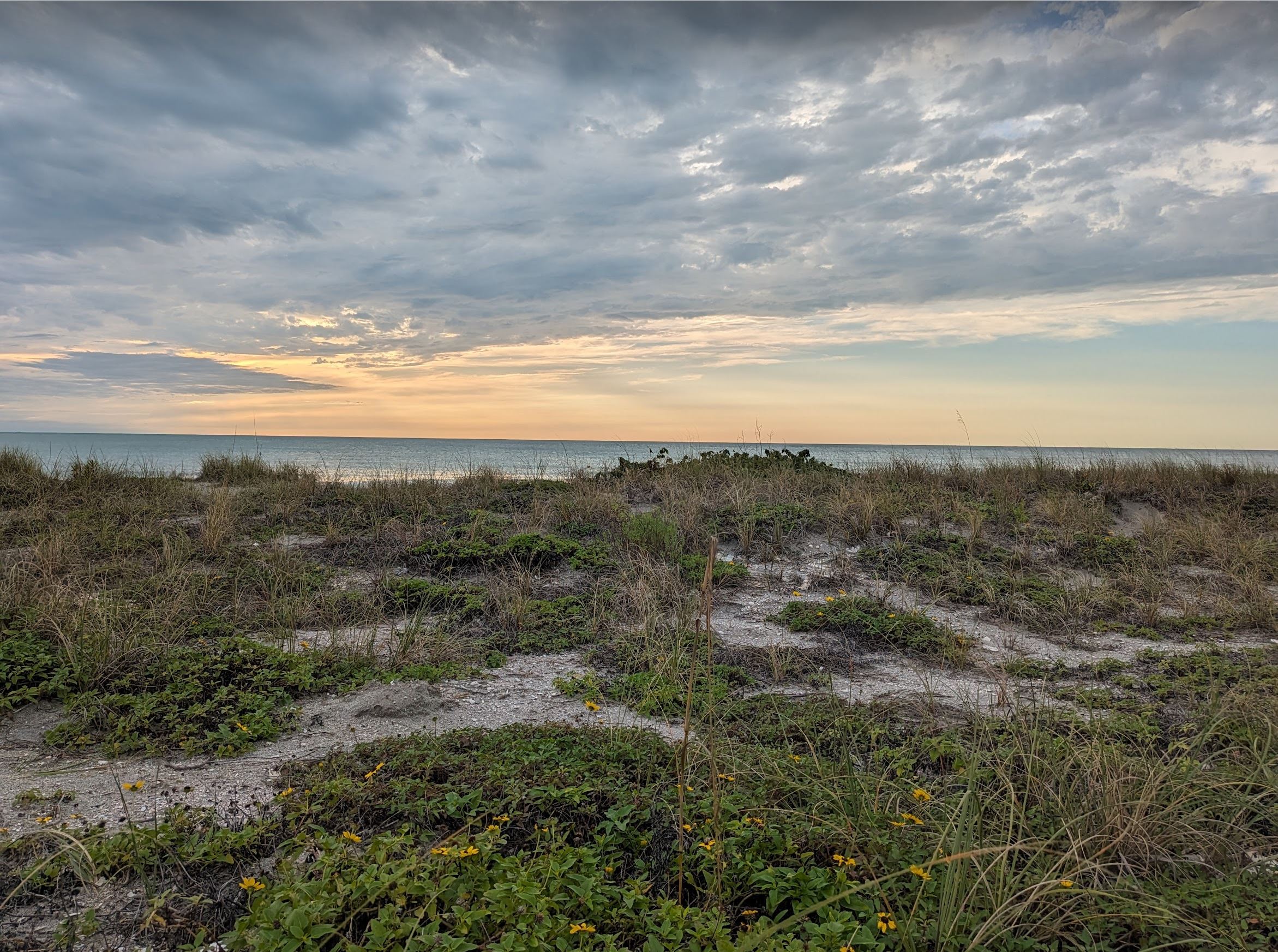 Quarterdeck Beach Dunes